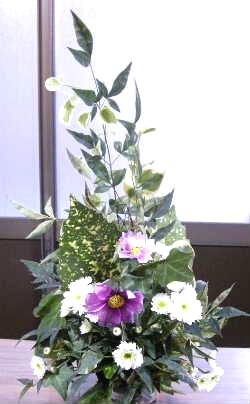 e0086864_23213091.jpg