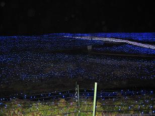 なばなの里。_e0045565_0142522.jpg