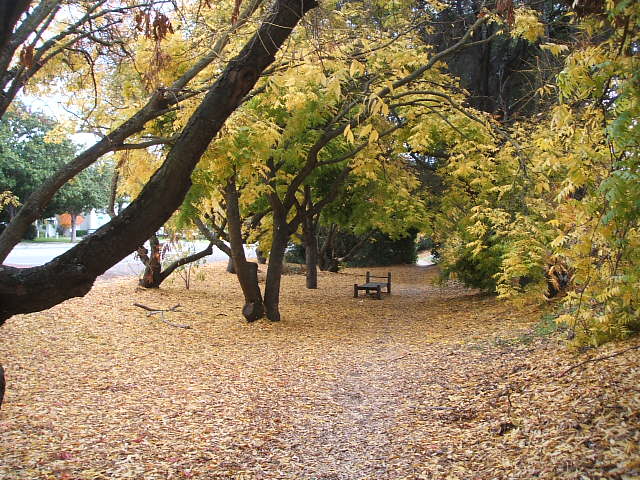c0115366_22543196.jpg