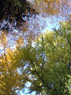 f0099367_8433723.jpg