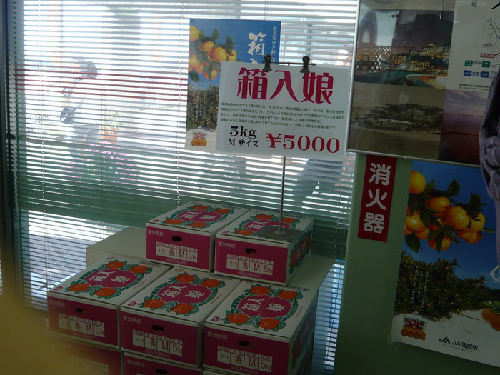 c0084268_7551220.jpg