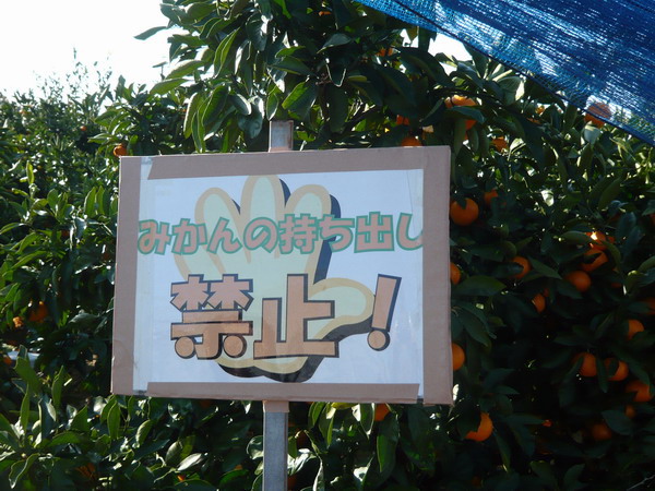 c0084268_7592232.jpg