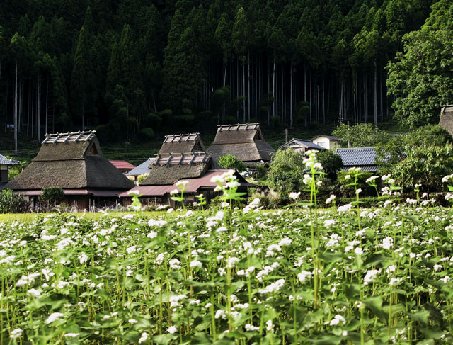 京北　美山の里_c0153969_20331551.jpg