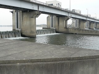 d0019074_6512412.jpg