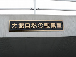 d0019074_651286.jpg