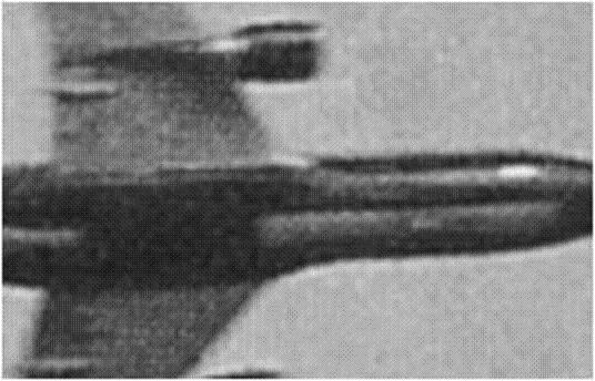 Pull it! 「テロ」は「身近」だ!!_c0139575_23485784.jpg