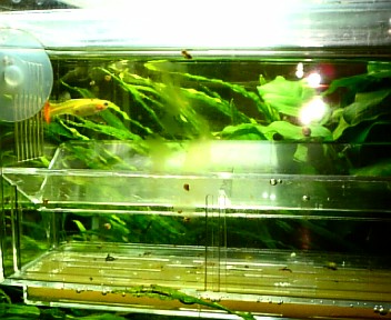 b0001280_15314428.jpg