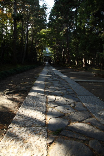 秋の鎌倉、海蔵寺・文学館_d0110380_221816.jpg