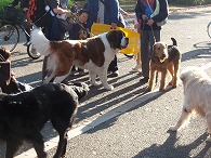 c0105785_1005230.jpg
