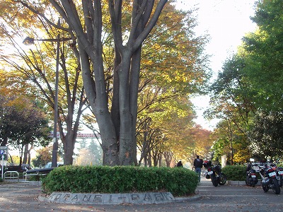 c0105785_819435.jpg