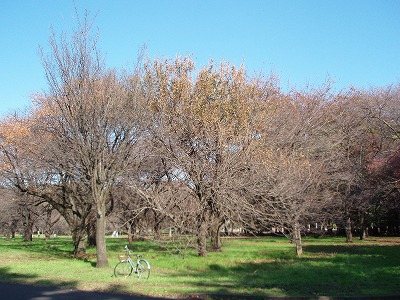 c0105785_8475169.jpg