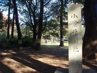 c0105785_914239.jpg