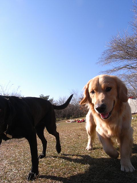 a0093592_222011.jpg