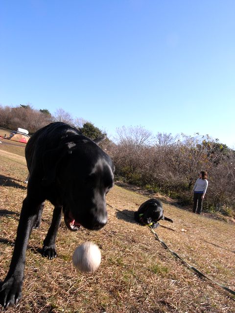 a0093592_22372363.jpg
