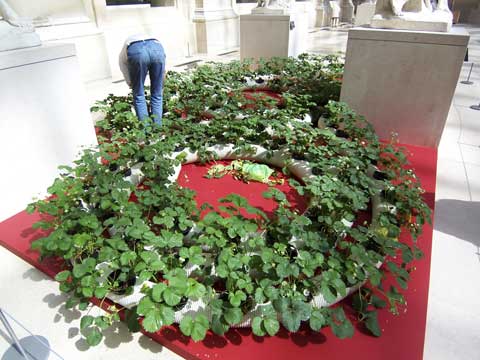 e0103195_3465532.jpg
