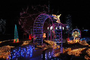 c0148401_035797.jpg