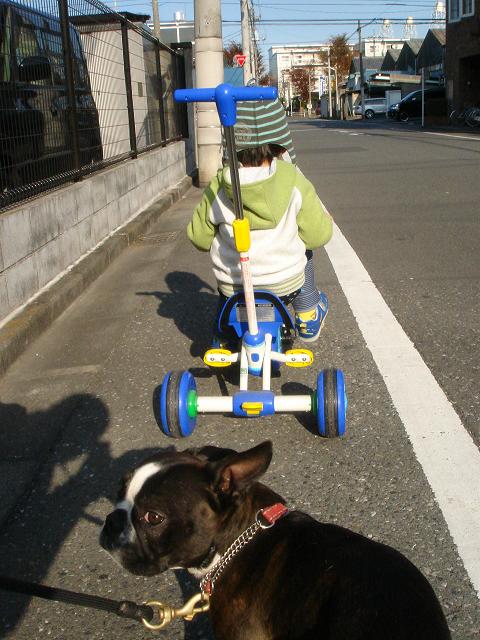 ぼくの愛車。_b0027203_23383181.jpg