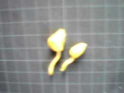 f0154805_186145.jpg