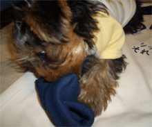 c0143711_23231628.gif