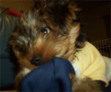 c0143711_23235749.gif