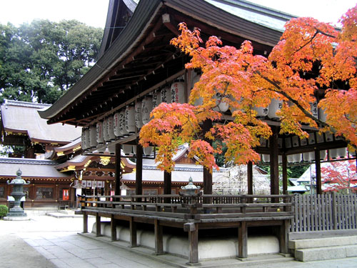 今宮神社ーおそい銀杏_e0048413_23113.jpg