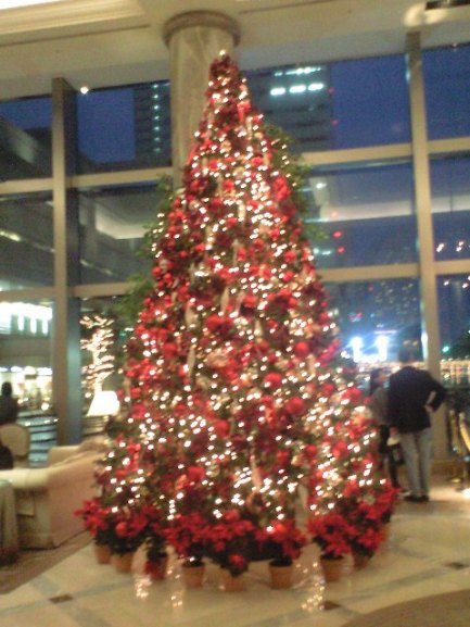 b0014416_21202279.jpg