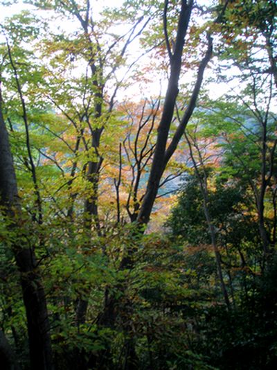 c0073016_0411033.jpg