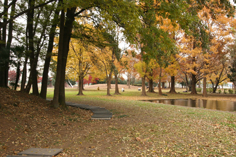 e0071225_055169.jpg