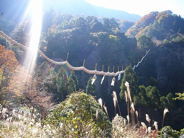 d0086228_13384128.jpg
