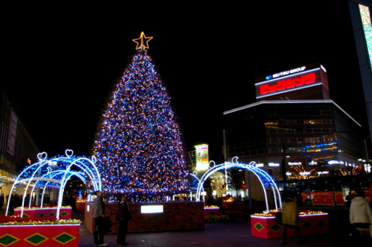 c0045129_21514160.jpg