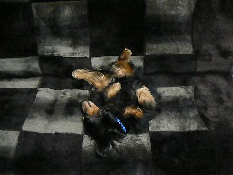 c0109235_23495211.jpg