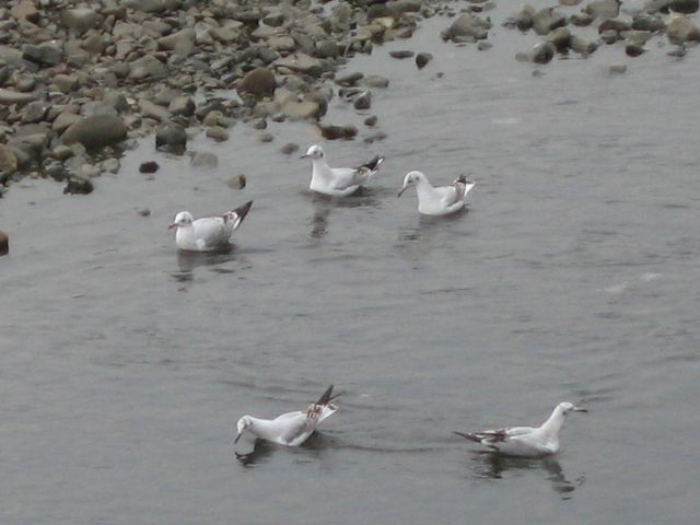 b0088037_7122010.jpg