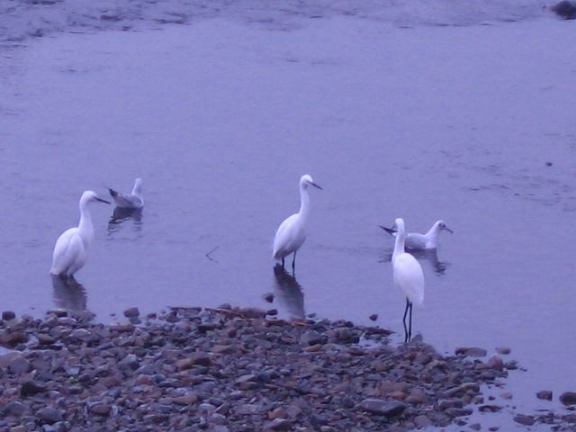 b0088037_7131511.jpg