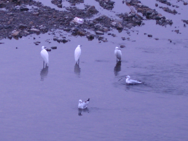 b0088037_7264660.jpg