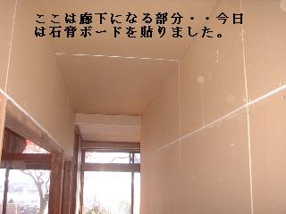 リフォーム工事5日目・・天井工事_f0031037_18107.jpg