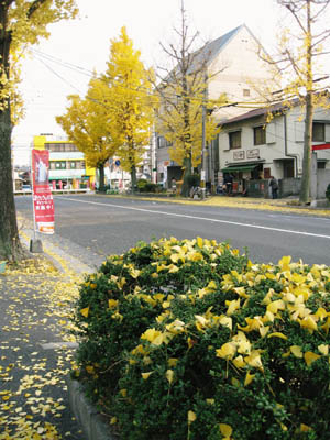 e0110940_0141423.jpg