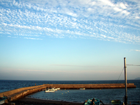 d0110641_18513047.jpg