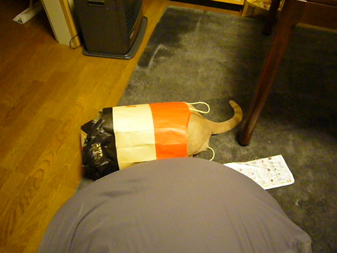 家に帰って来たら・・・_e0058443_2212990.jpg