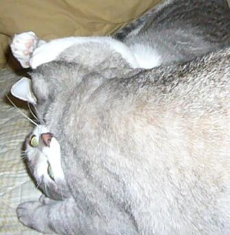 もう12月_f0002743_2356331.jpg