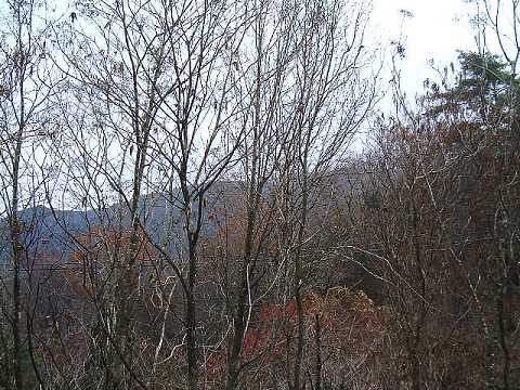 f0090444_21385358.jpg