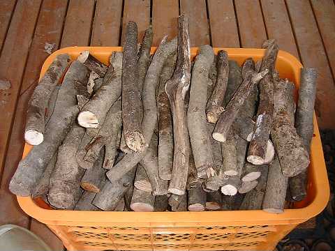 f0090444_21432615.jpg