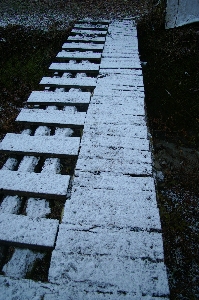 初雪_f0114346_2125638.jpg