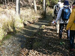 初冬の高森草庵周辺_f0019247_18342570.jpg