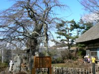 初冬の高森草庵周辺_f0019247_18423084.jpg