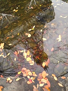 c0069552_1012025.jpg