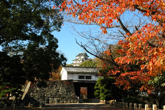 紅葉・黄葉_b0093754_00650.jpg