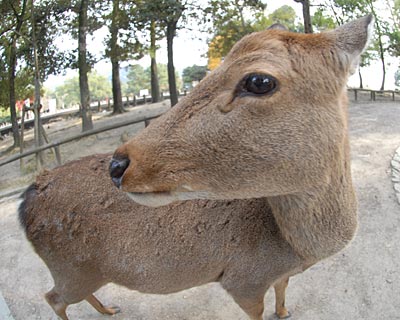 e0035757_1202092.jpg