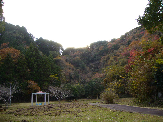 2007年12月5日(水)シロン振り、シロ君!_f0060461_1919234.jpg
