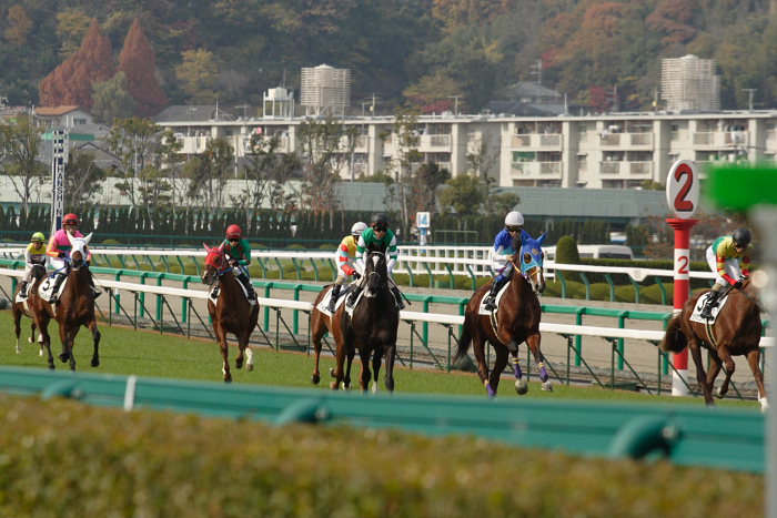 6R サラブレット系2歳 馬場入場_a0077663_1754518.jpg
