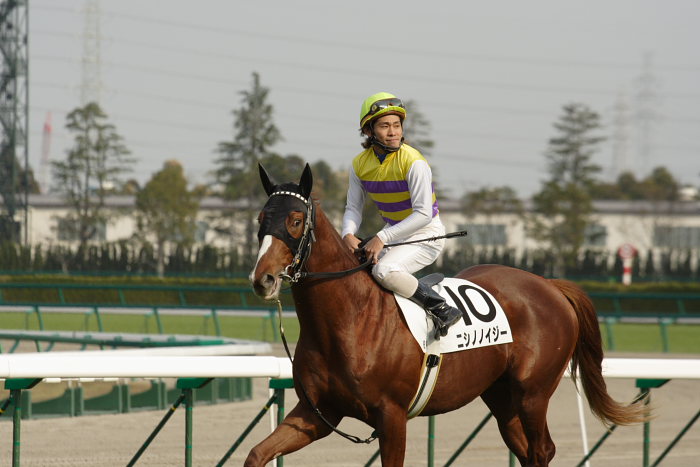 6R サラブレット系2歳 馬場入場_a0077663_17551633.jpg
